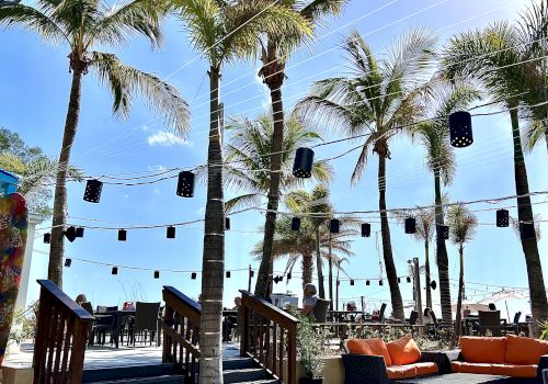 An outdoor seating area with palm trees, string lights, and lounge furniture. The setting is bright and sunny, with a beach visible in the background.